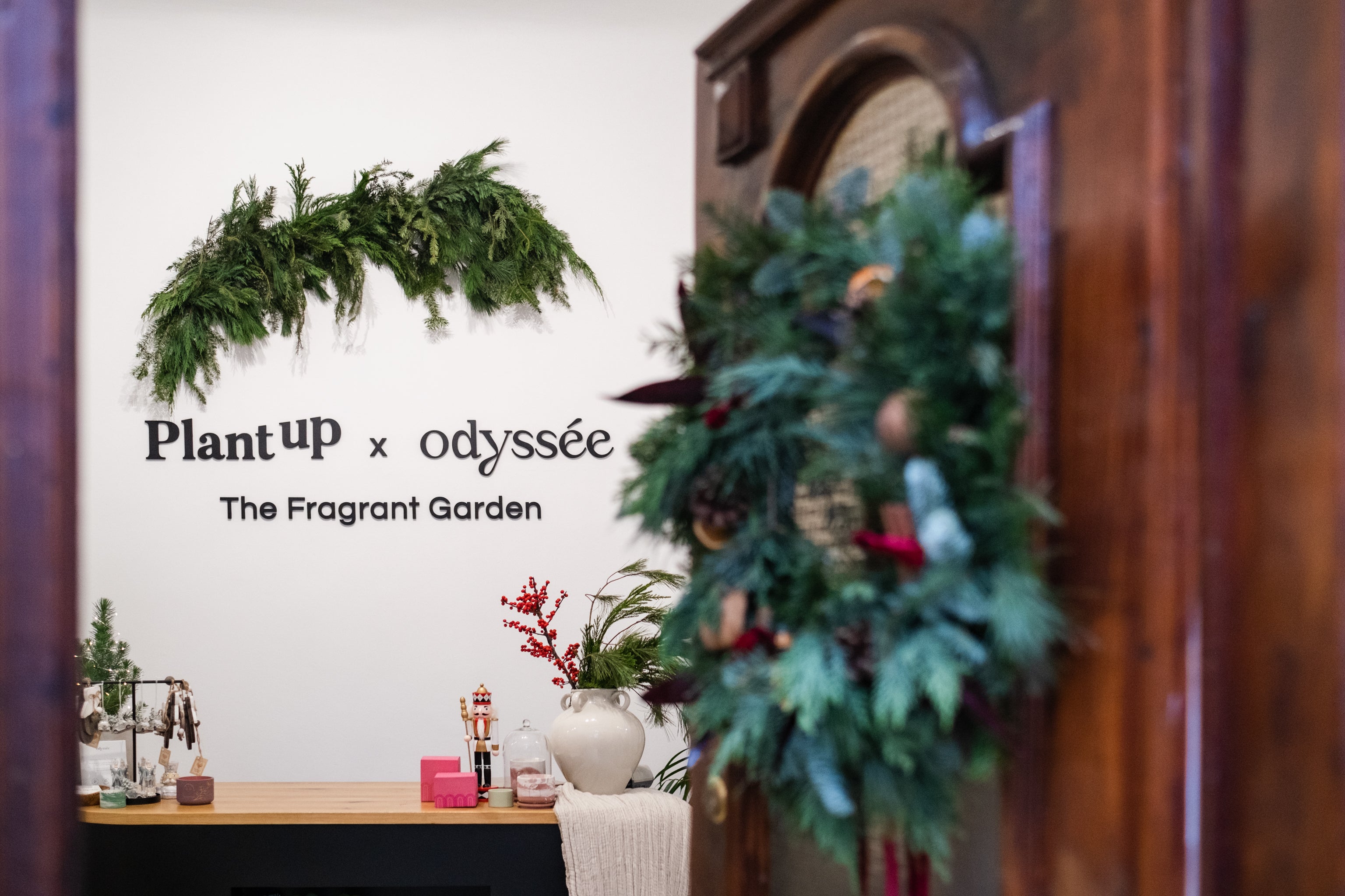 0Plant_Up_Odysee_011222-184.jpg