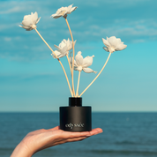 Parfum odorizant de camera cu betisoare